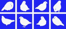 Pigeonhole Logo